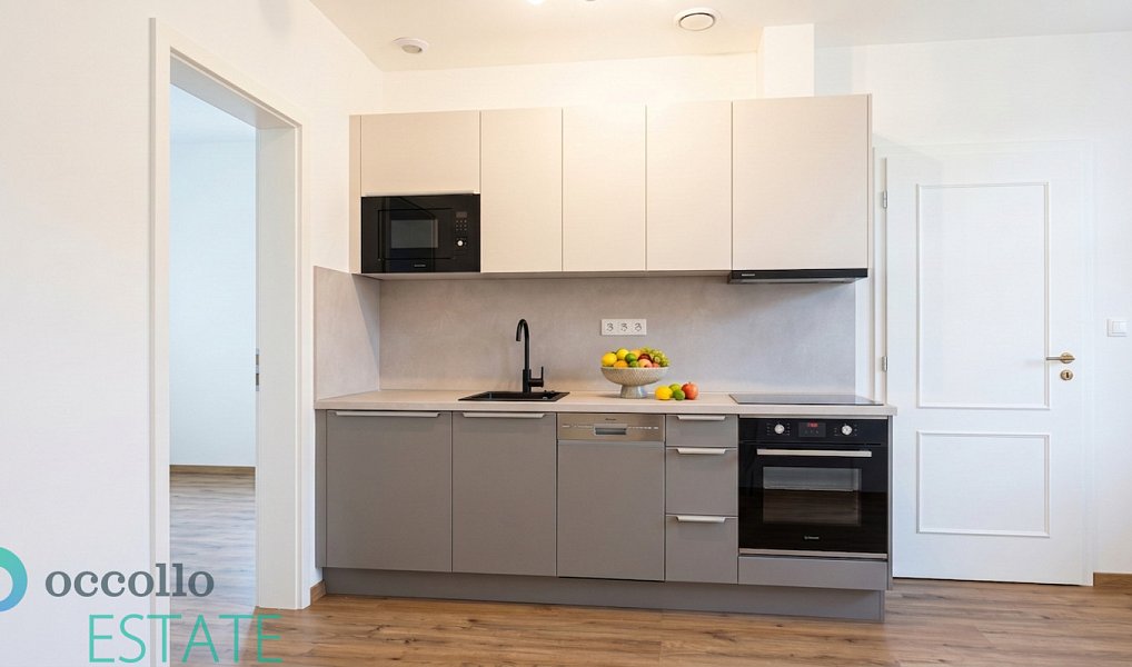 Pronájem bytu 2+kk 38 m², Plzeň – náhled fotky 2
