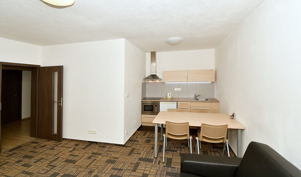 Pronájem bytu 2+kk 66 m², Brno – náhled fotky 3