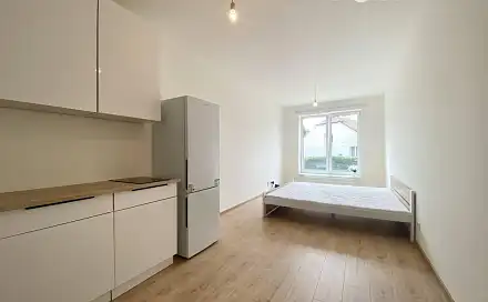 Pronájem bytu 1+kk 38 m²