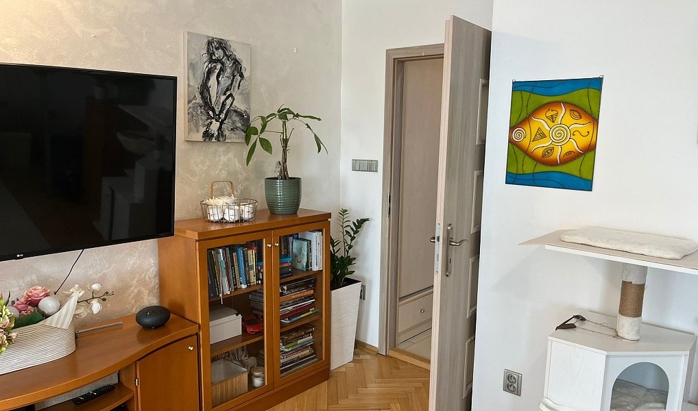 Prodej bytu 4+1 72 m², Liberec – náhled fotky 6