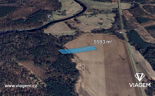 Prodej pole 5 593 m², Káraný, okres Praha-východ