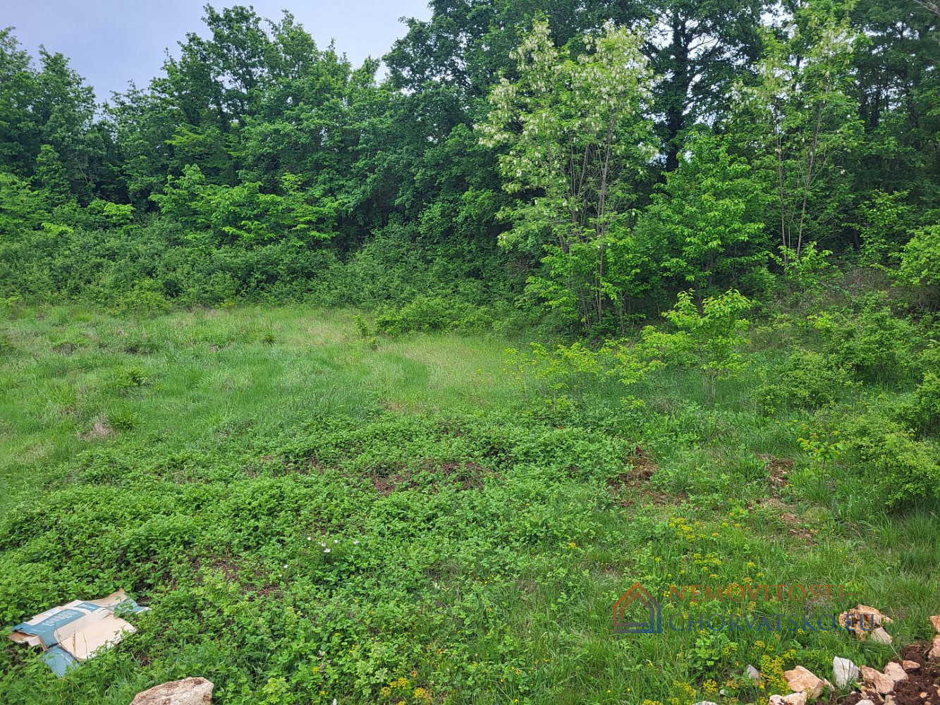 Prodej stavebního pozemku 6 027 m² - Widok 2