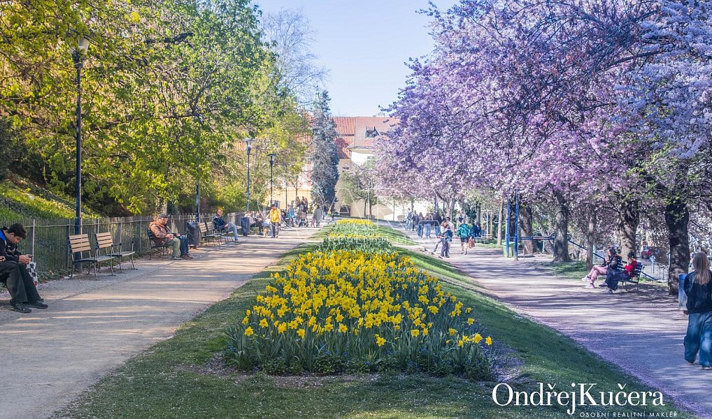 Prodej bytu 3+1 90 m², Praha – náhled fotky 25