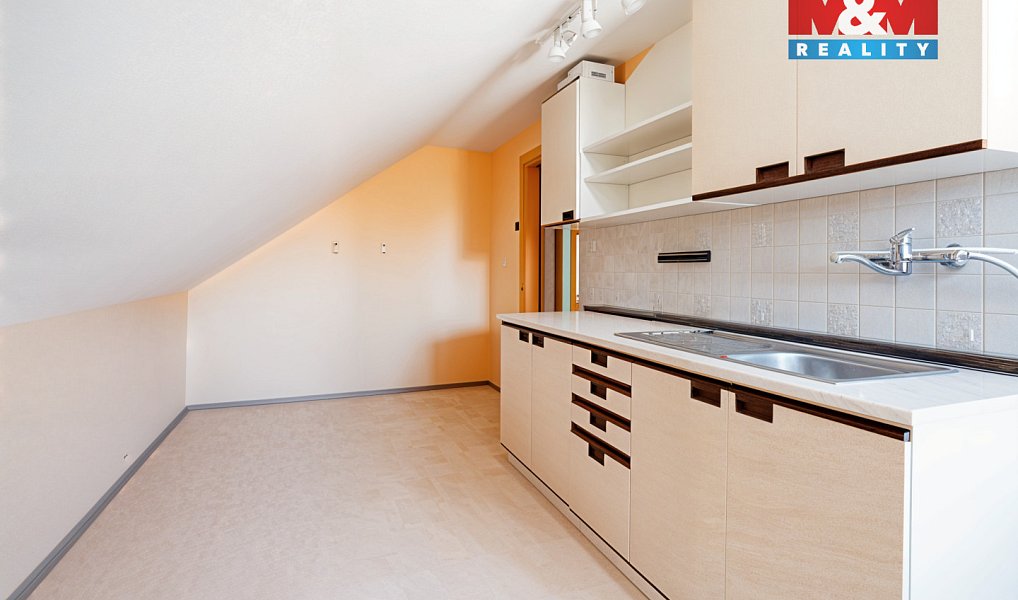 Prodej domu 220 m² s pozemkem 3 838 m², Borovany – náhled fotky 4