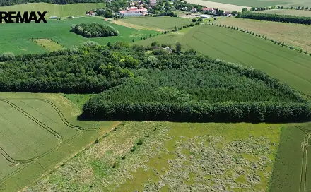 Prodej lesa 9 186 m², Vinaře, okres Kutná Hora