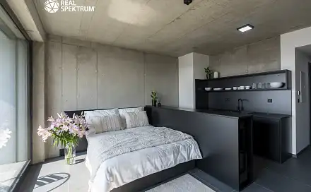 Pronájem bytu 1+kk 31 m², Královopolská, Brno - Žabovřesky
