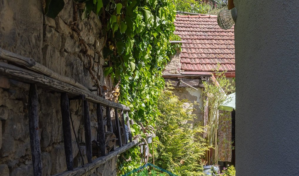Prodej domu 125 m² s pozemkem 360 m², Přestavlky – náhled fotky 5