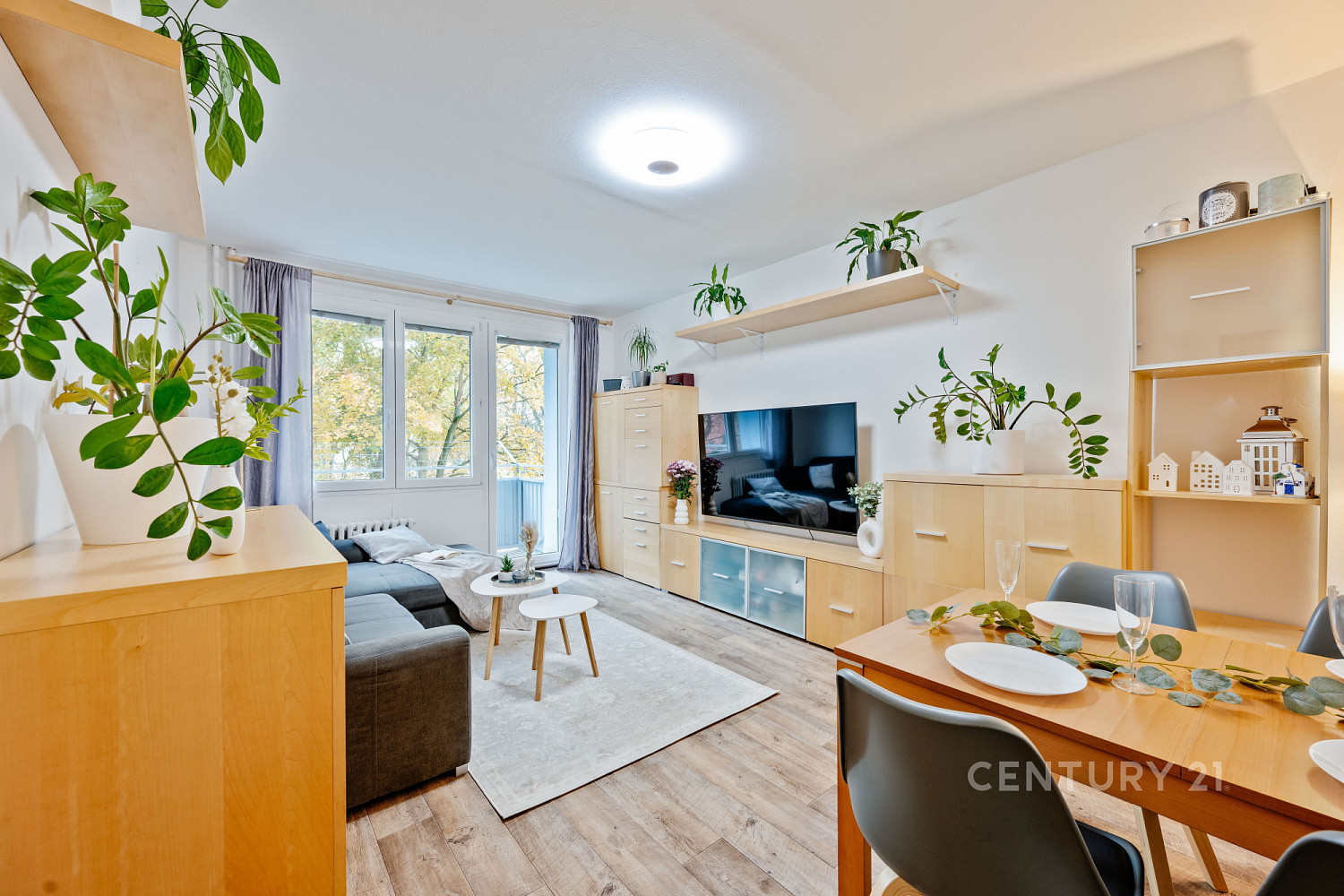 Pronájem bytu 2+1 57 m²