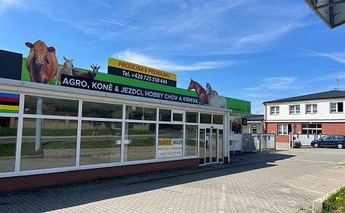 Pronájem obchodních prostor 287 m²