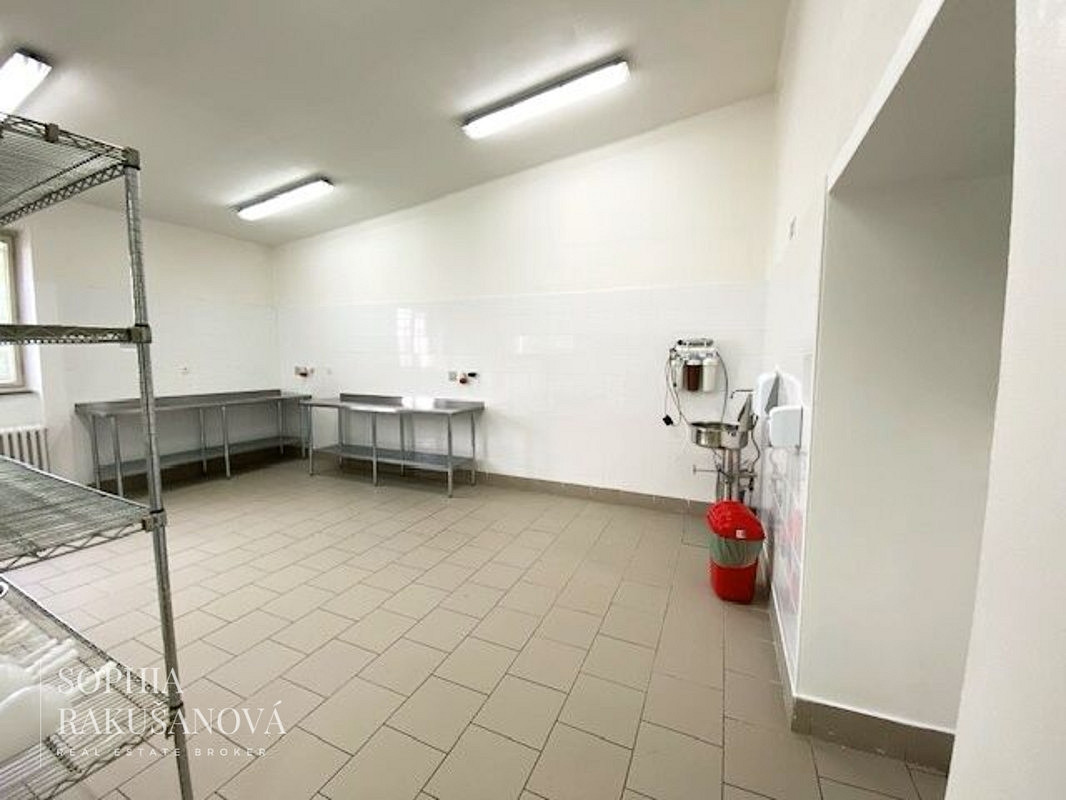Prodej komerčního objektu (jiného typu) 700 m² – fotografie 4