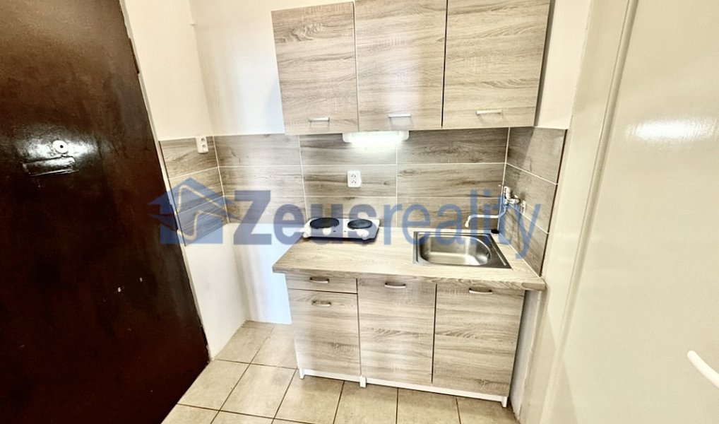 Pronájem bytu 1+kk 27 m², Praha – náhled fotky 7